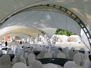 Арочный шатер "Колизей" Октогональ 24х26 м